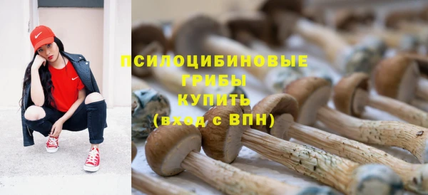 ГАЛЛЮЦИНОГЕННЫЕ ГРИБЫ Приозерск