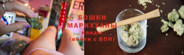 МДПВ Протвино