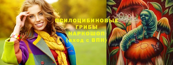 тгк Пролетарск