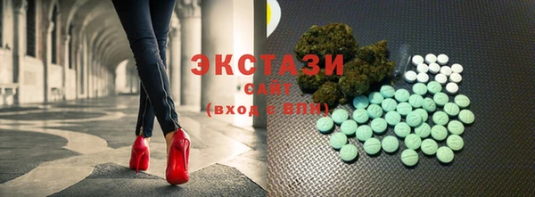МДПВ Протвино