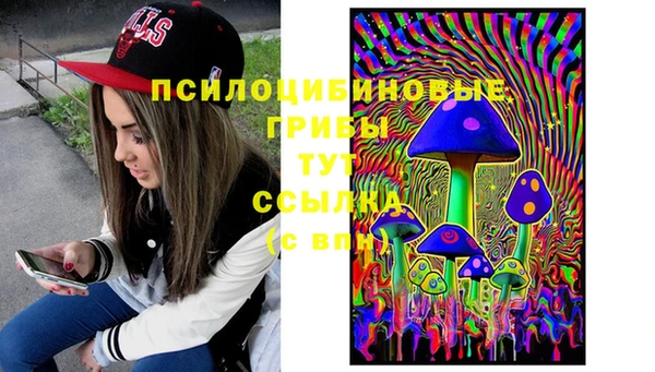 МДПВ Протвино