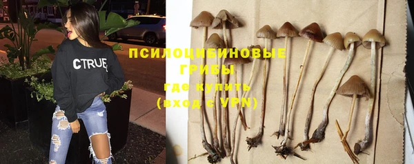 ГАЛЛЮЦИНОГЕННЫЕ ГРИБЫ Приозерск