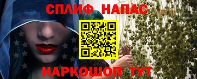 стаф Кулебаки