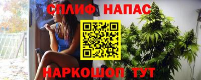 стаф Кулебаки