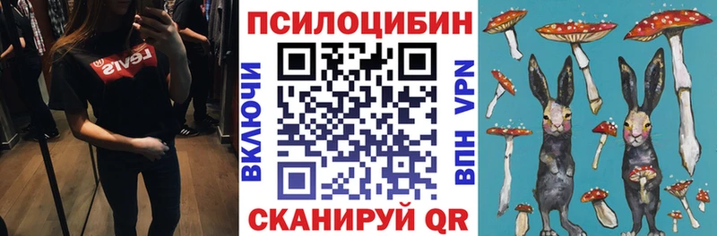 Псилоцибиновые грибы ЛСД  Балтийск 