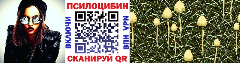 Галлюциногенные грибы GOLDEN TEACHER Балтийск