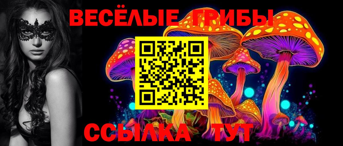 Балтийск  Галлюциногенные грибы GOLDEN TEACHER  Вход с VPN 